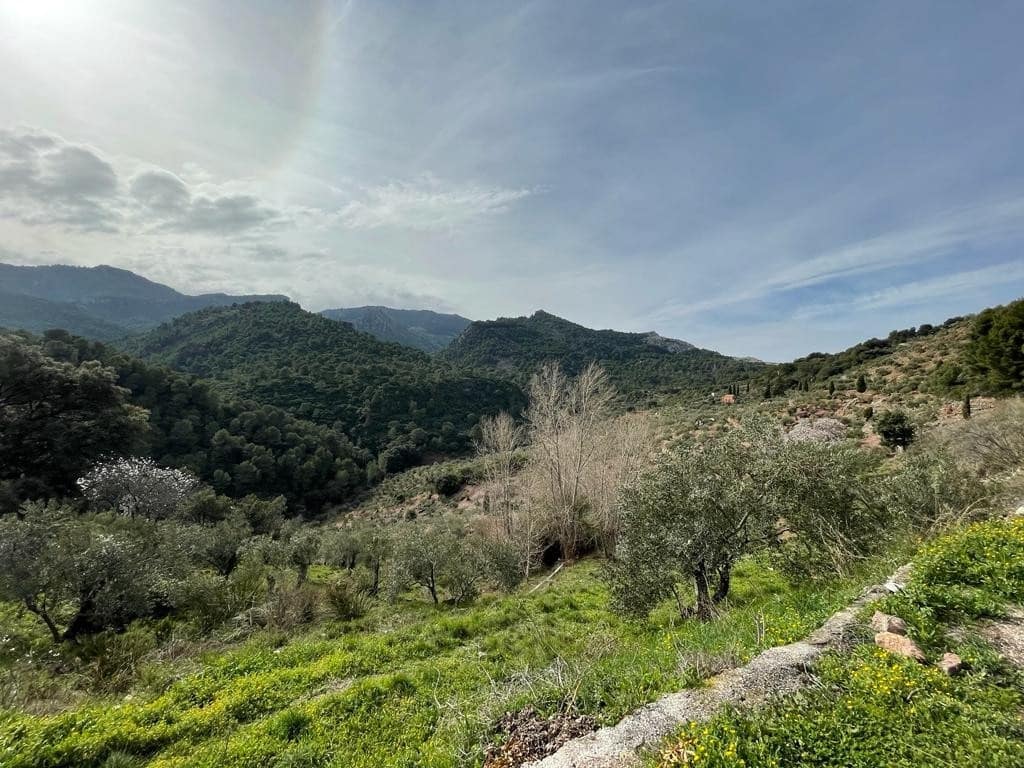 3 chambre Finca/Maison de Campagne à vendre à El Burgo avec piscine - 255 000 € (Ref: 7686501)