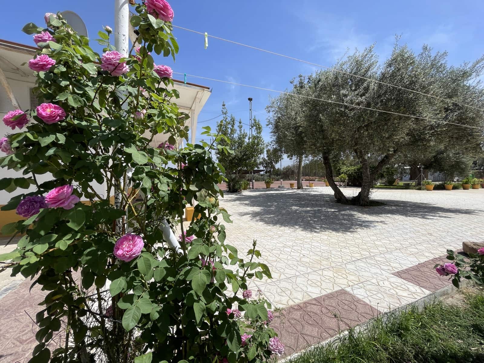 6 soveværelse Finca/Landehus til salg i Carmona med swimmingpool garage - € 1.200.000 (Ref: 7693379)