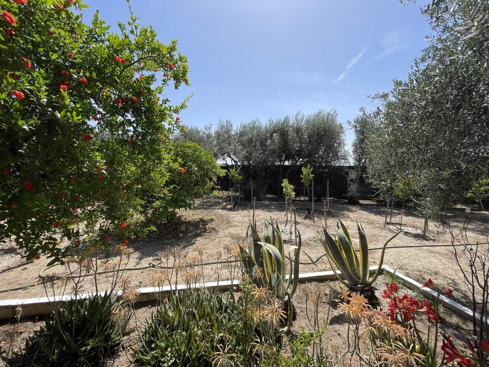 6 soveværelse Finca/Landehus til salg i Carmona med swimmingpool garage - € 1.200.000 (Ref: 7693379)