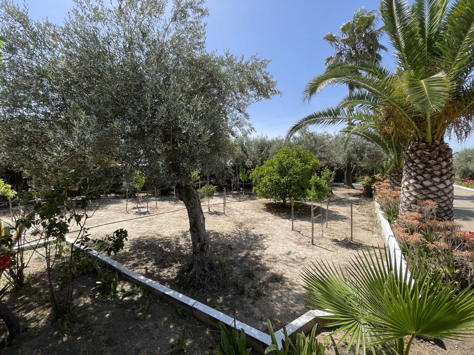 6 soveværelse Finca/Landehus til salg i Carmona med swimmingpool garage - € 1.200.000 (Ref: 7693379)