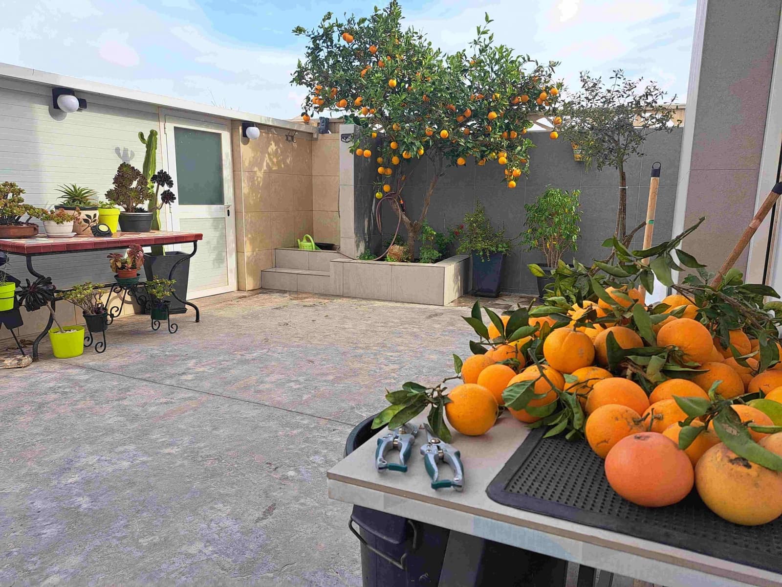 12 bedroom Apartment for sale in Ibiza / Eivissa town with garage - € 3,700,000 (Ref: 8752258)