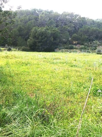 Byggetomt til salgs i San Miguel / Sant Miquel de Balansat, Sant Joan de Labritja - € 900 000 (Ref: 8911201)