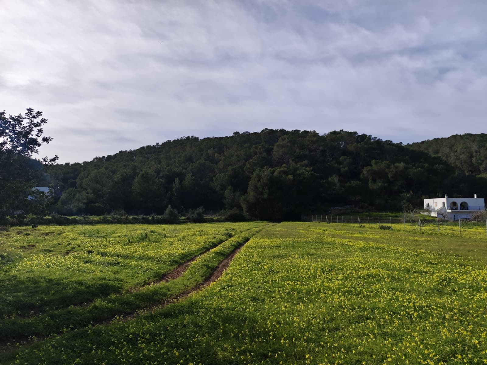 Byggegrund til salg i San Miguel / Sant Miquel de Balansat - € 880.000 (Ref: 8911201)