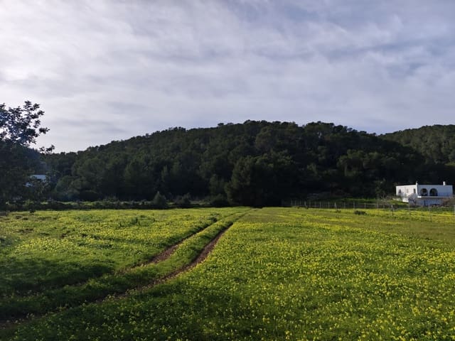 Area Edificabile in vendita in San Miguel / Sant Miquel de Balansat, Sant Joan de Labritja - 880.000 € (Rif: 8911201)