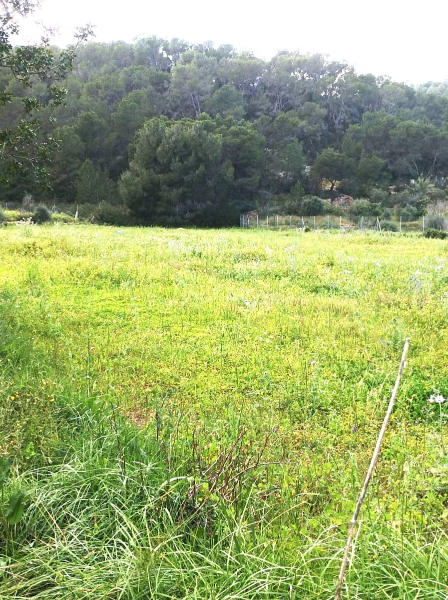 Byggegrund til salg i San Miguel / Sant Miquel de Balansat - € 880.000 (Ref: 8911201)