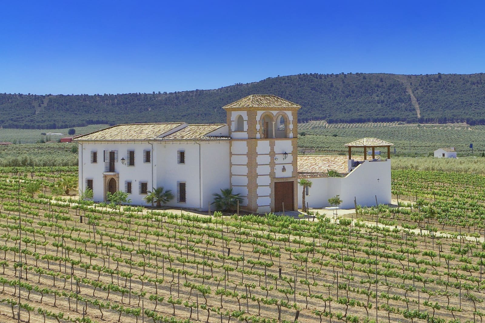 5 makuuhuone Maalaistalo myytävänä paikassa Mollina mukana uima-altaan 
autotalli - 1 680 000 € (Ref: 8921739)