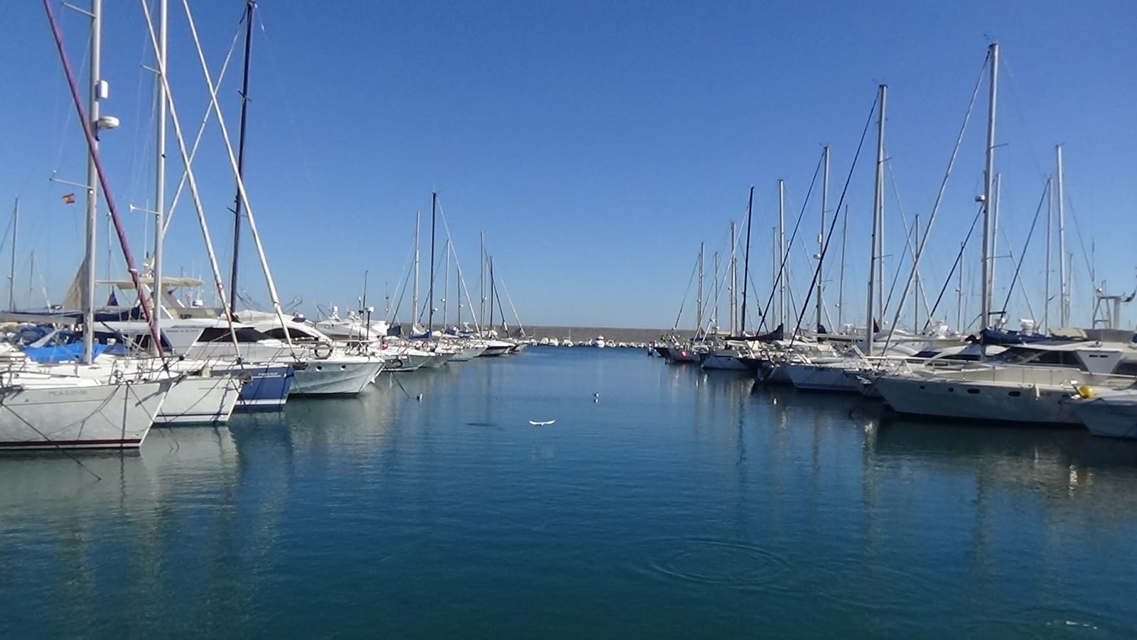 1 soveværelse Lejlighed til salg i Fuengirola med swimmingpool - € 350.000 (Ref: 8946872)