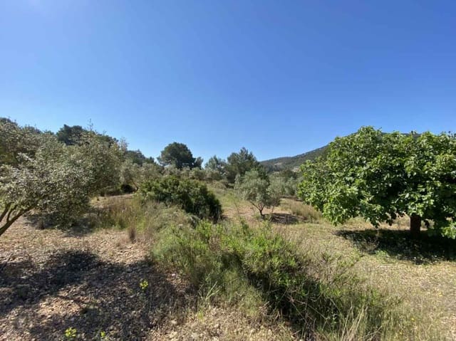 Byggegrund til salg i Can Furnet, Santa Eulalia / Santa Eularia - € 1.950.000 (Ref: 9026905)