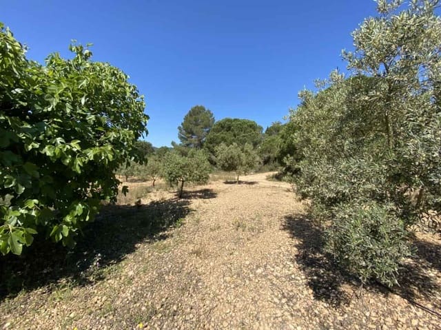 Byggegrund til salg i Can Furnet, Santa Eulalia / Santa Eularia - € 1.950.000 (Ref: 9026905)