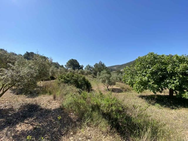 Tontti myytävänä paikassa Can Furnet, Santa Eulalia / Santa Eularia - 1 850 000 € (Ref: 9026905)