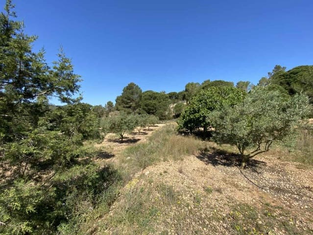 Tontti myytävänä paikassa Can Furnet, Santa Eulalia / Santa Eularia - 1 850 000 € (Ref: 9026905)