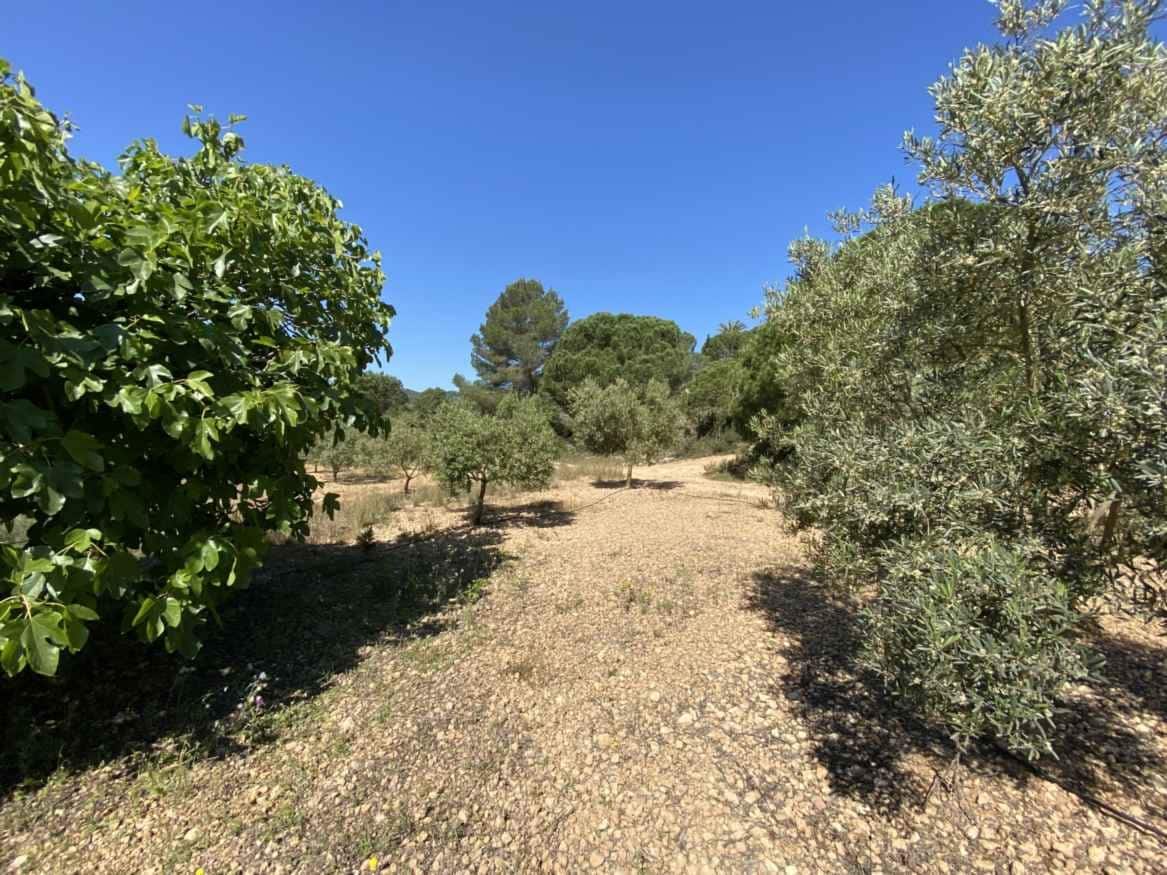Area Edificabile in vendita in Can Furnet - 1.850.000 € (Rif: 9026905)
