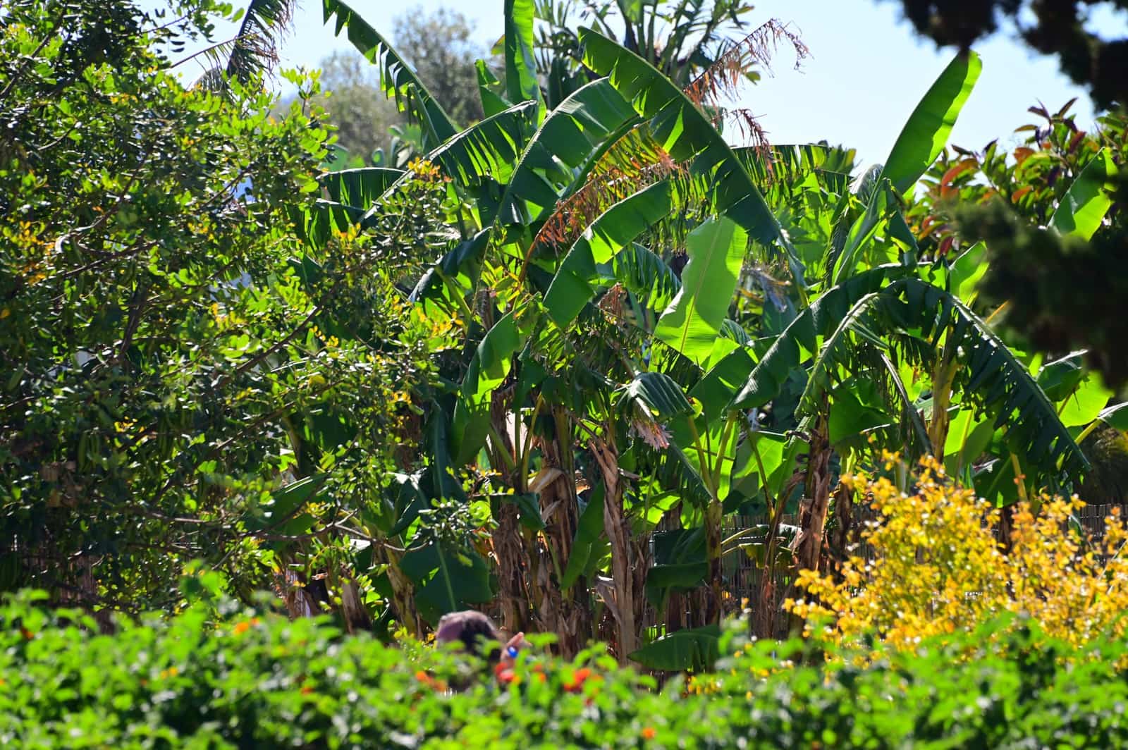 27 soveværelse Finca/Landehus til salg i Calas de Mallorca med swimmingpool garage - € 4.200.000 (Ref: 9038260)