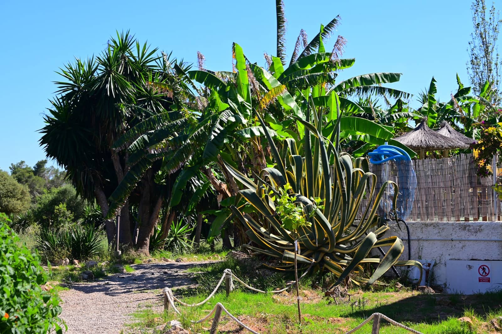 27 soveværelse Finca/Landehus til salg i Calas de Mallorca med swimmingpool garage - € 4.200.000 (Ref: 9038260)