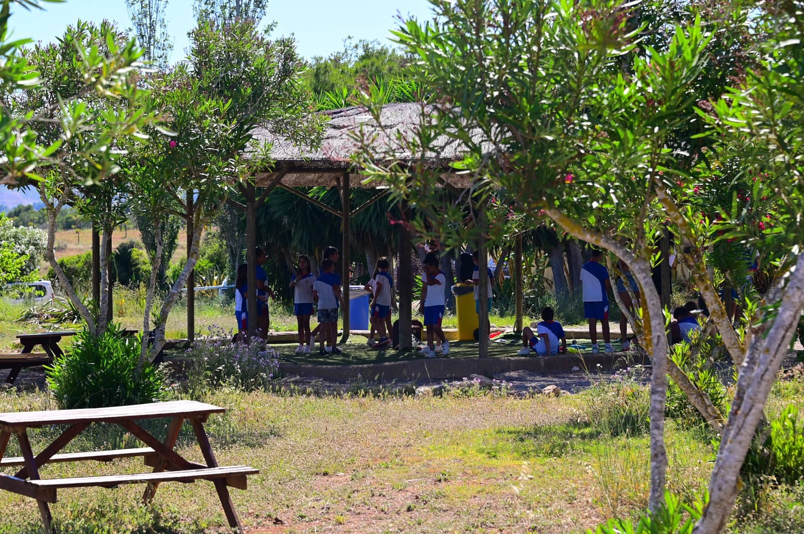 27 soveværelse Finca/Landehus til salg i Calas de Mallorca med swimmingpool garage - € 4.200.000 (Ref: 9038260)