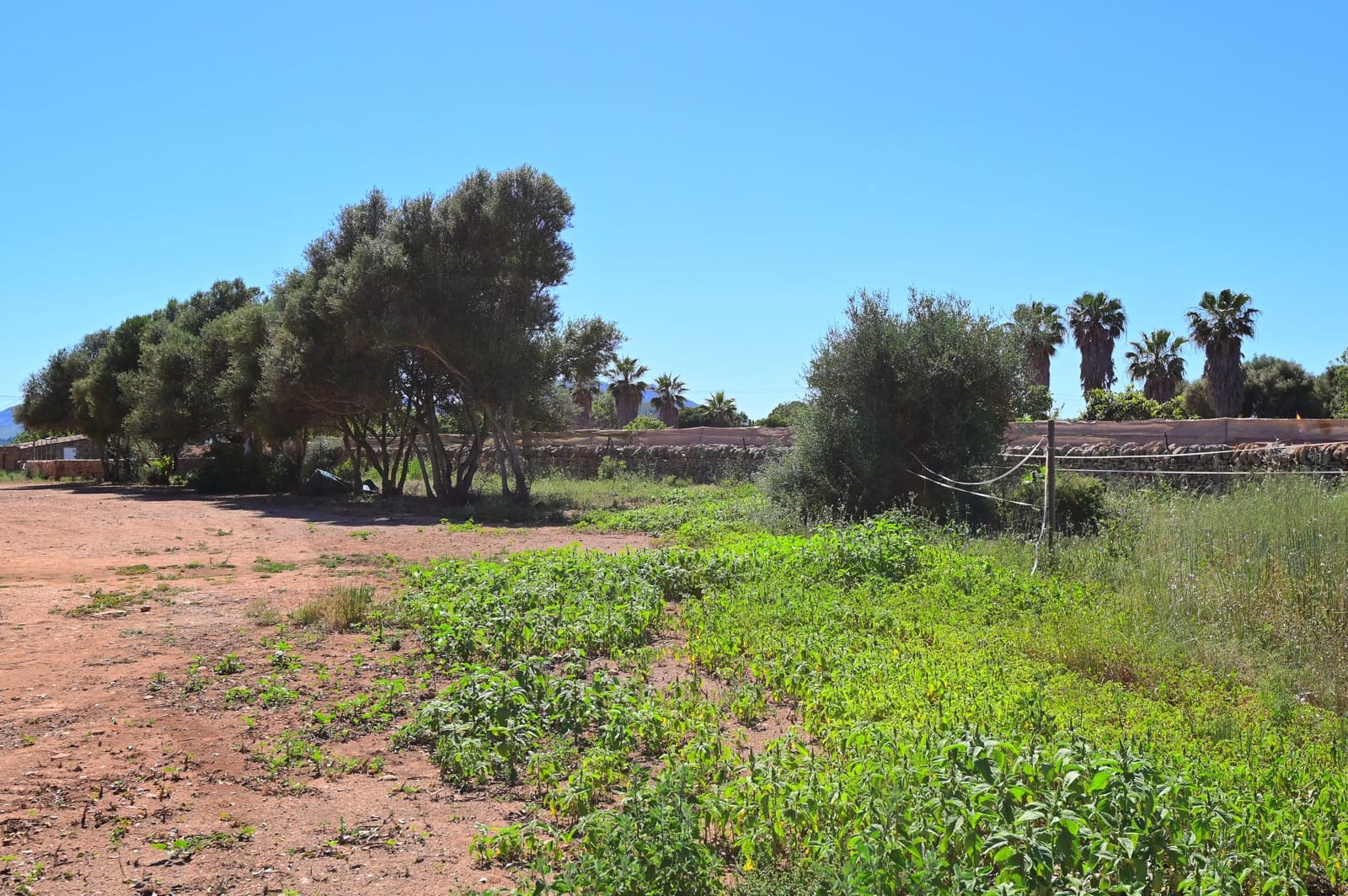 27 soveværelse Finca/Landehus til salg i Calas de Mallorca med swimmingpool garage - € 4.200.000 (Ref: 9038260)