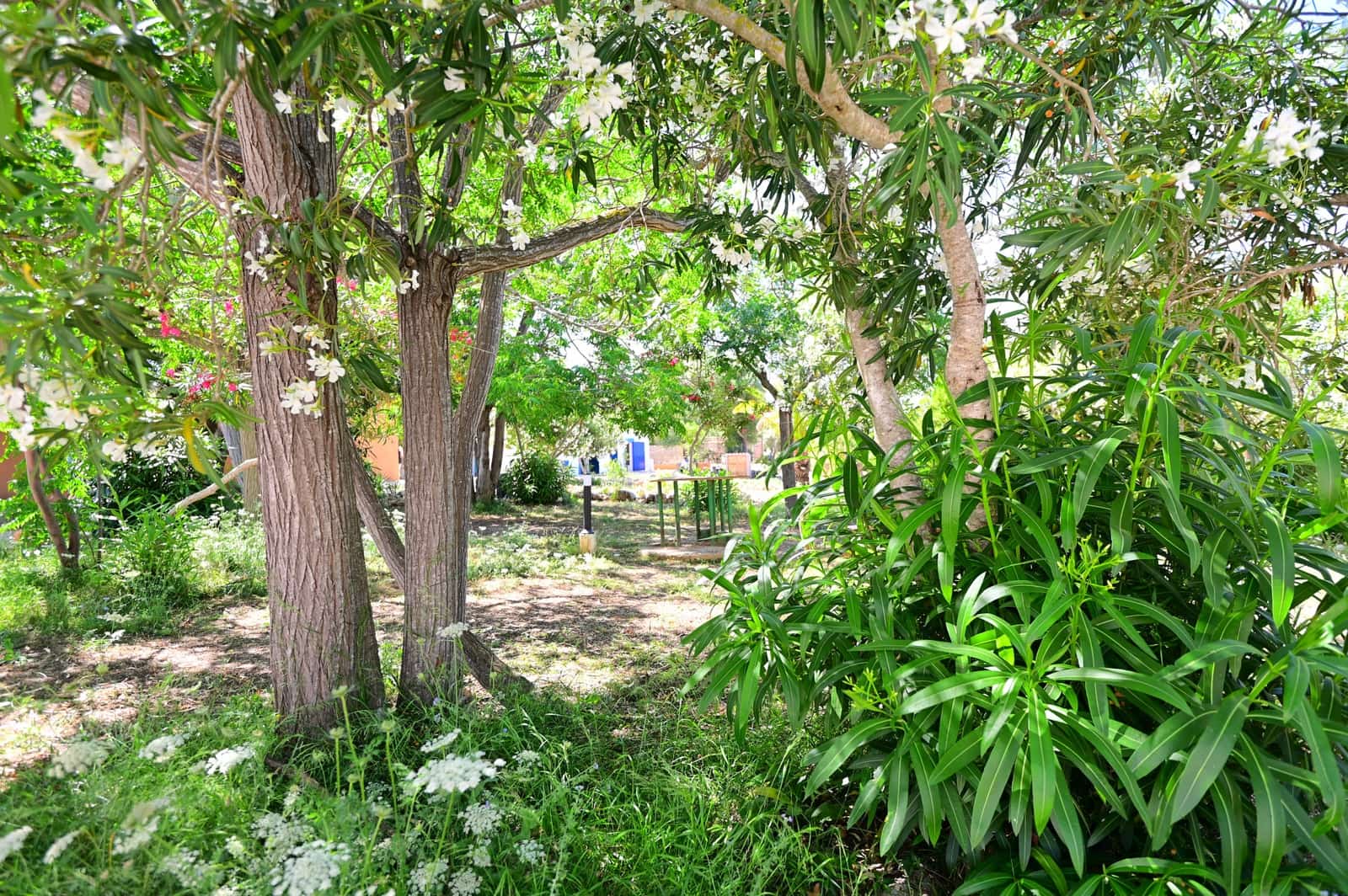 27 soveværelse Finca/Landehus til salg i Calas de Mallorca med swimmingpool garage - € 4.200.000 (Ref: 9038260)