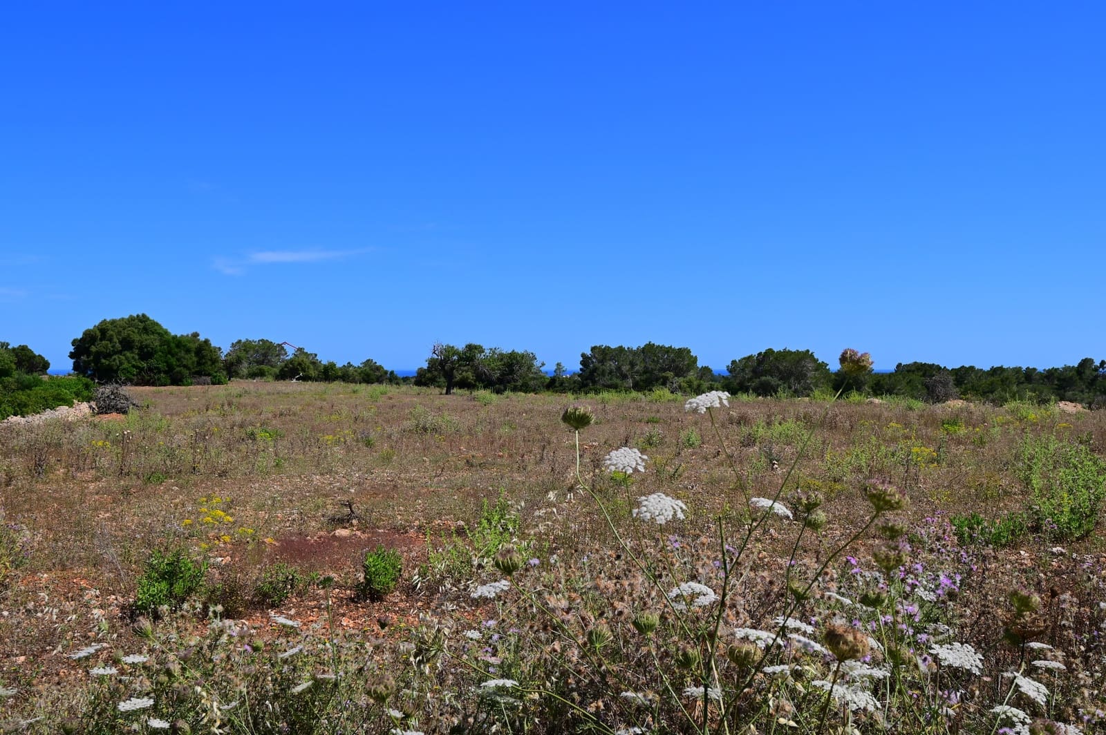 27 soveværelse Finca/Landehus til salg i Calas de Mallorca med swimmingpool garage - € 4.200.000 (Ref: 9038260)