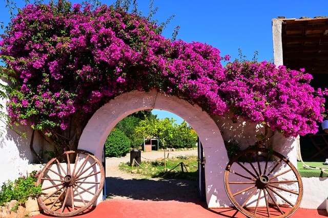 27 soveværelse Finca/Landehus til salg i Calas de Mallorca, Manacor med swimmingpool garage - € 4.200.000 (Ref: 9038260)