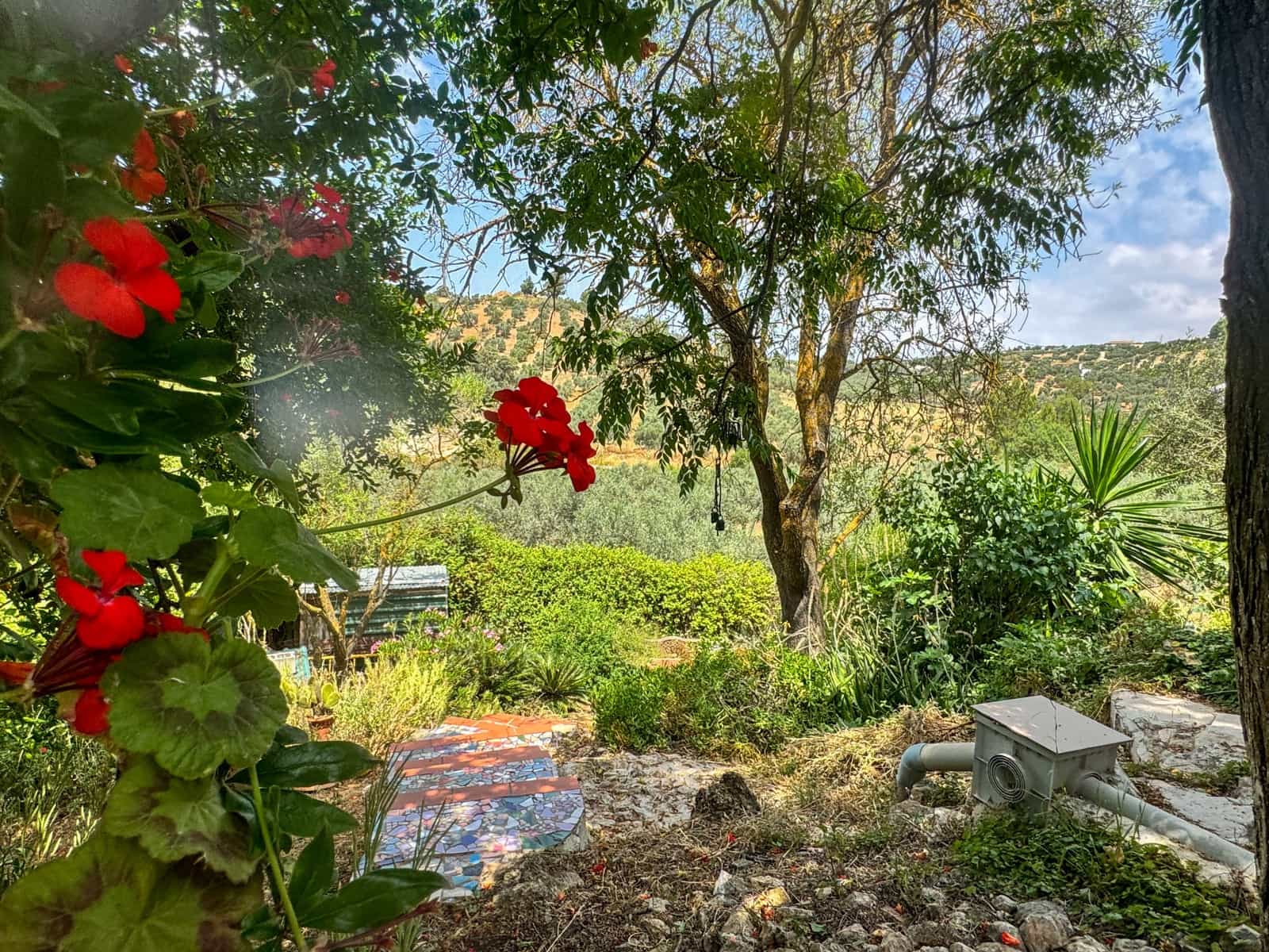 Finca/Casa Rural de 3 habitaciones en Antequera en venta - 138.000 € (Ref: 9059760)