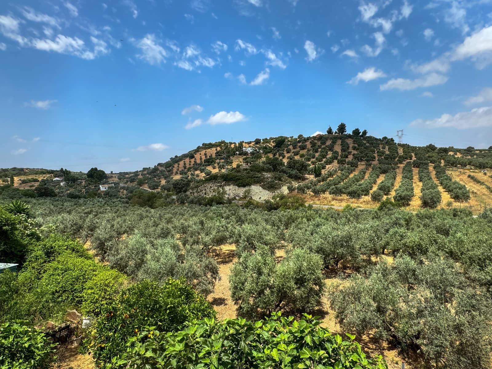 Finca/Casa Rural de 3 habitaciones en Antequera en venta - 138.000 € (Ref: 9059760)