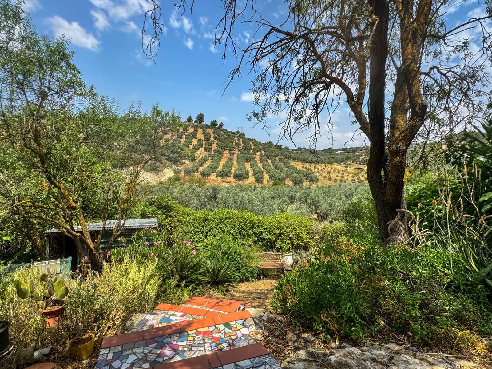 Finca/Casa Rural de 3 habitaciones en Antequera en venta - 138.000 € (Ref: 9059760)