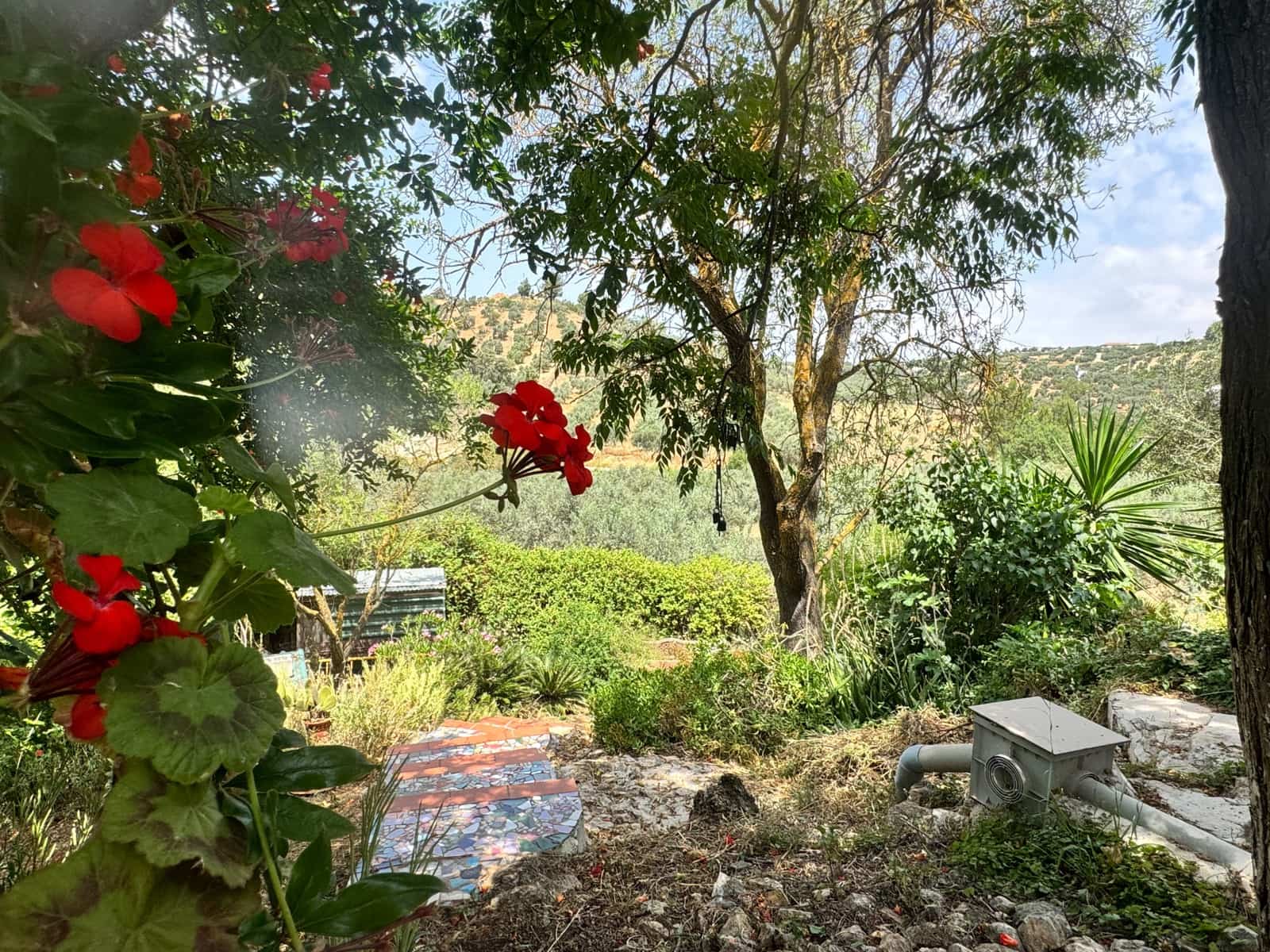 Finca/Casa Rural de 3 habitaciones en Antequera en venta - 138.000 € (Ref: 9059760)