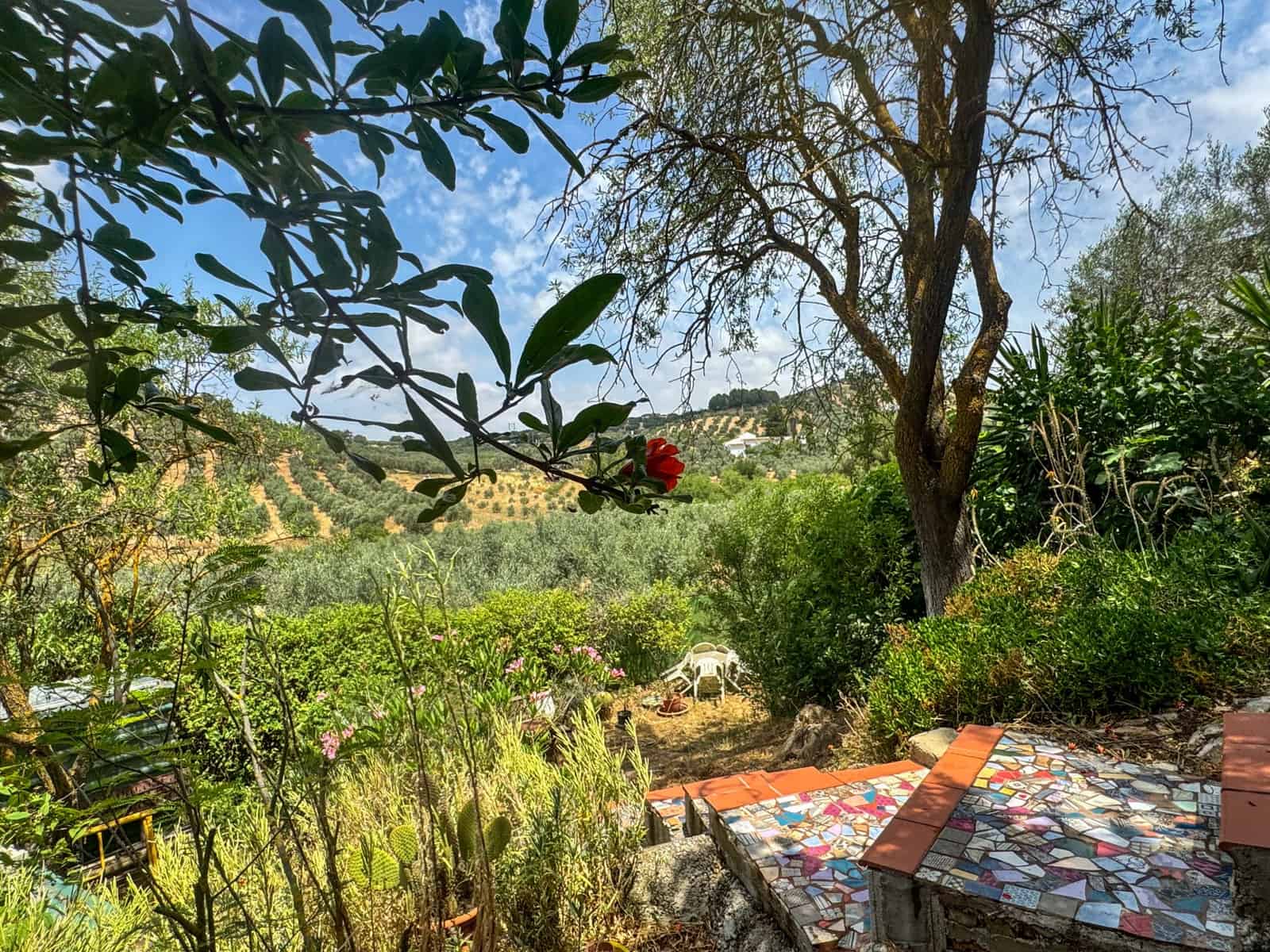 Finca/Casa Rural de 3 habitaciones en Antequera en venta - 138.000 € (Ref: 9059760)