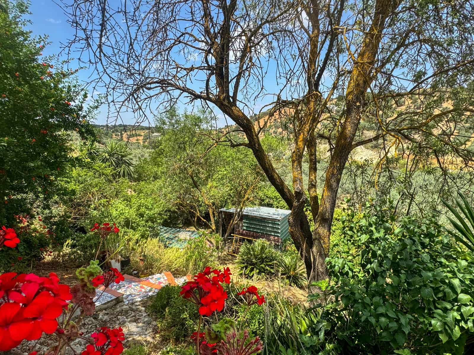 Finca/Casa Rural de 3 habitaciones en Antequera en venta - 138.000 € (Ref: 9059760)