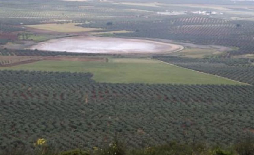 Byggegrund til salg i Alameda - € 850.000 (Ref: 9110589)