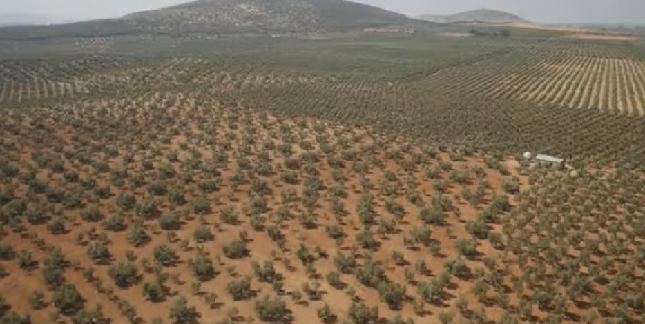 Byggegrund til salg i Alameda - € 850.000 (Ref: 9110589)