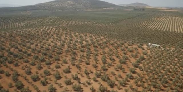 Building Plot for sale in Alameda - € 850,000 (Ref: 9110589)