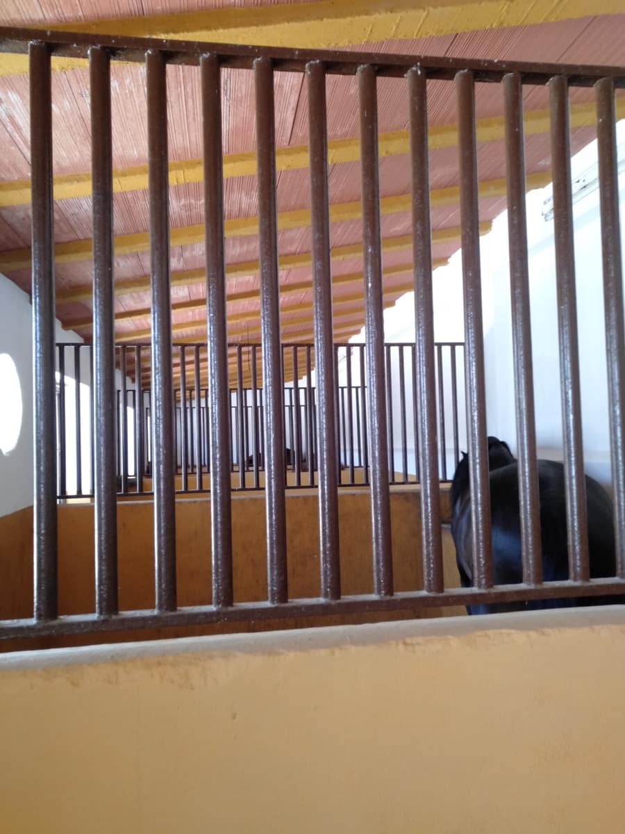 4 soveværelse Finca/Landehus til salg i Moron de la Frontera med swimmingpool garage - € 795.000 (Ref: 9187185)