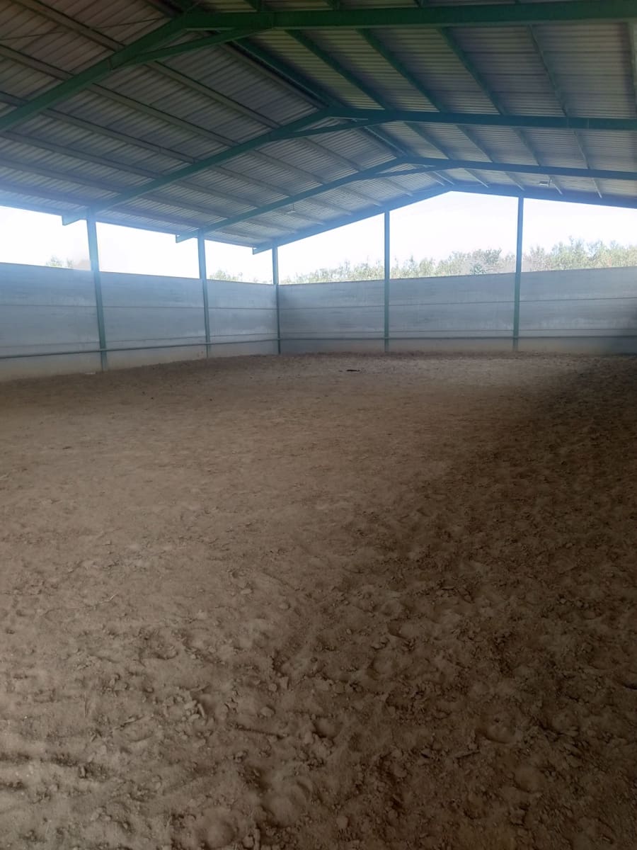 4 soveværelse Finca/Landehus til salg i Moron de la Frontera med swimmingpool garage - € 795.000 (Ref: 9187185)