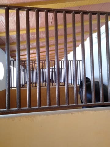 4 soveværelse Finca/Landehus til salg i Morón de la Frontera med swimmingpool garage - € 795.000 (Ref: 9187185)