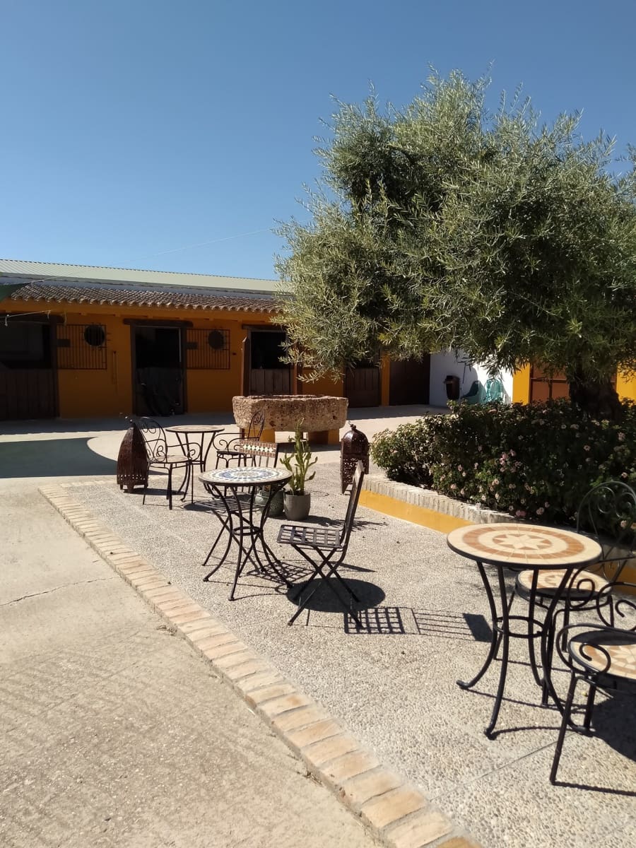 4 soveværelse Finca/Landehus til salg i Moron de la Frontera med swimmingpool garage - € 795.000 (Ref: 9187185)