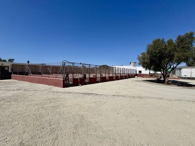 Bouwgrond te koop in El Chaparral, Mijas - € 475.000 (Ref: 9215417)