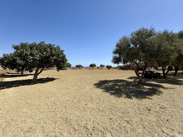 Bouwgrond te koop in El Chaparral, Mijas - € 475.000 (Ref: 9215417)