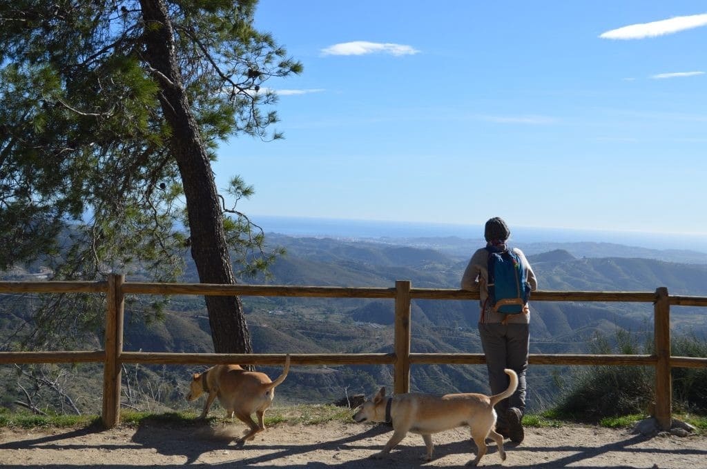 Tontti myytävänä paikassa Coin - 126 500 € (Ref: 9217760)