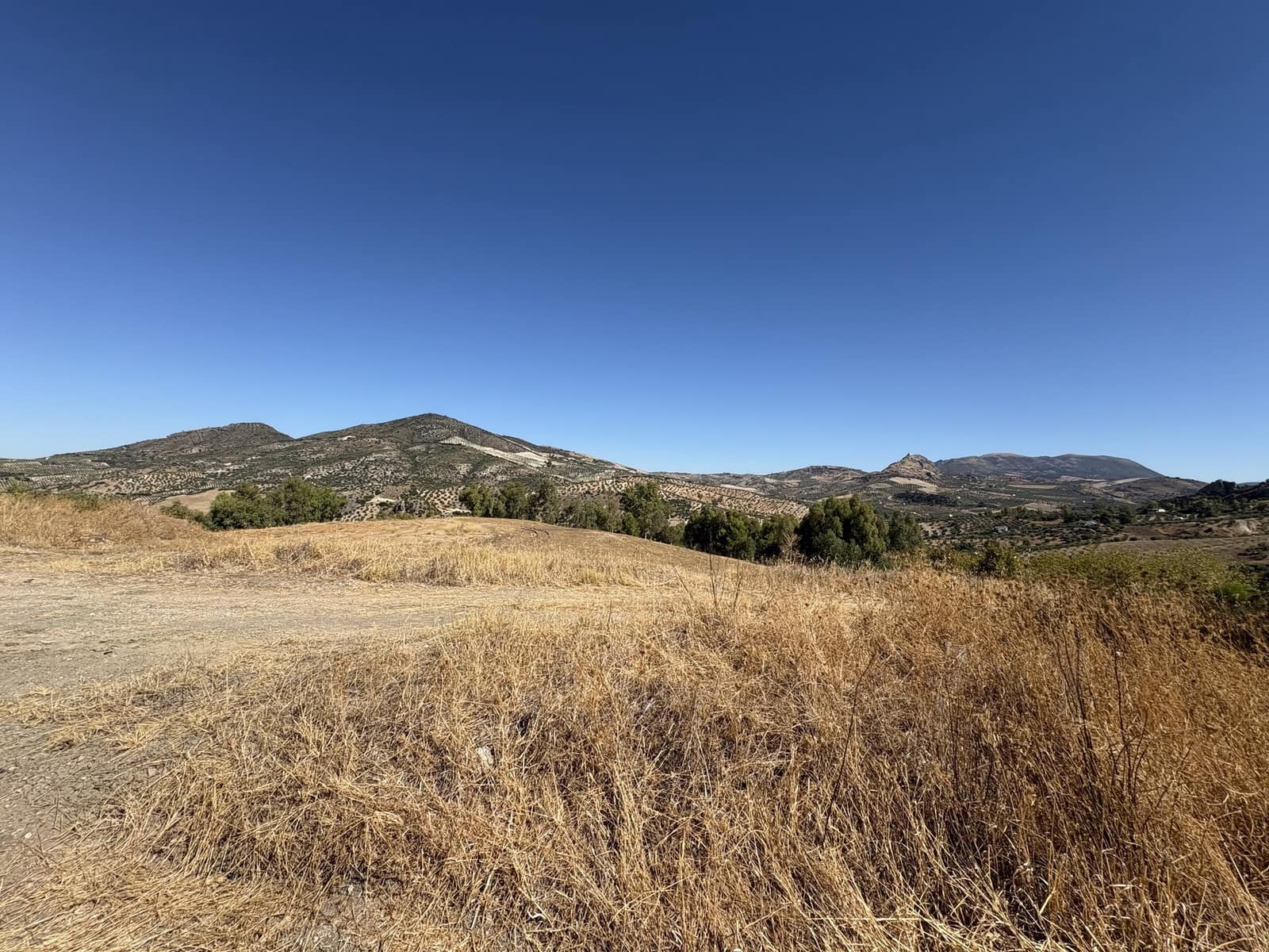 2 makuuhuone Yritys myytävänä paikassa Olvera mukana 
autotalli - 1 500 000 € (Ref: 9228873)