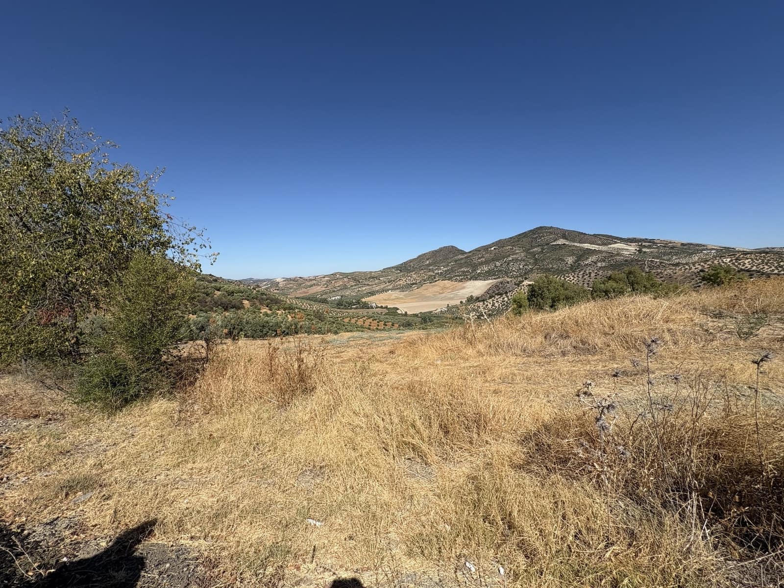 2 makuuhuone Yritys myytävänä paikassa Olvera mukana 
autotalli - 1 500 000 € (Ref: 9228873)