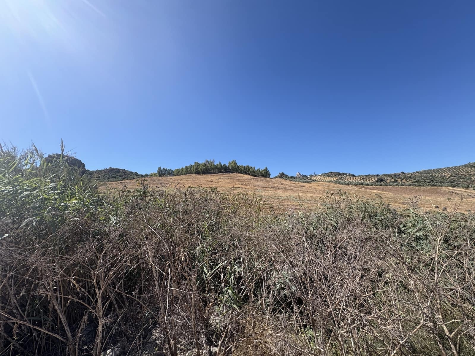 2 makuuhuone Yritys myytävänä paikassa Olvera mukana 
autotalli - 1 500 000 € (Ref: 9228873)