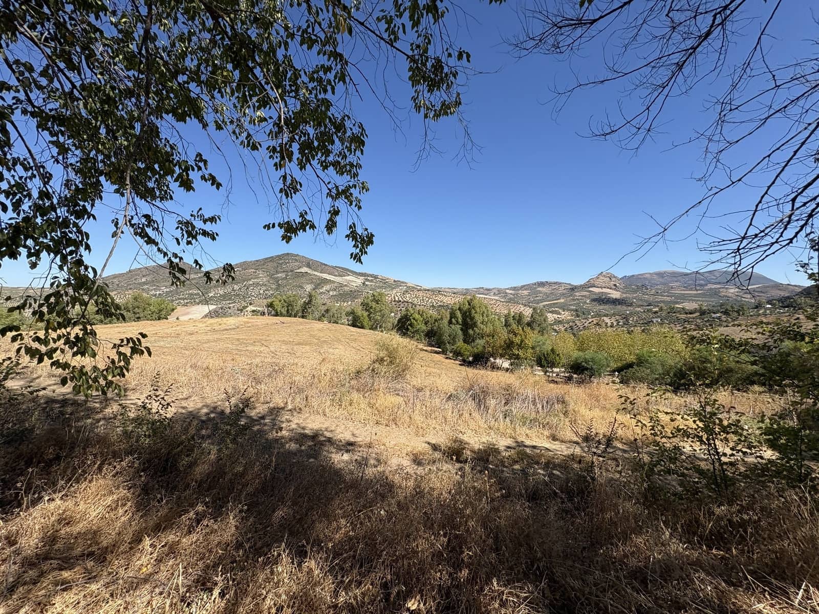 2 makuuhuone Yritys myytävänä paikassa Olvera mukana 
autotalli - 1 500 000 € (Ref: 9228873)