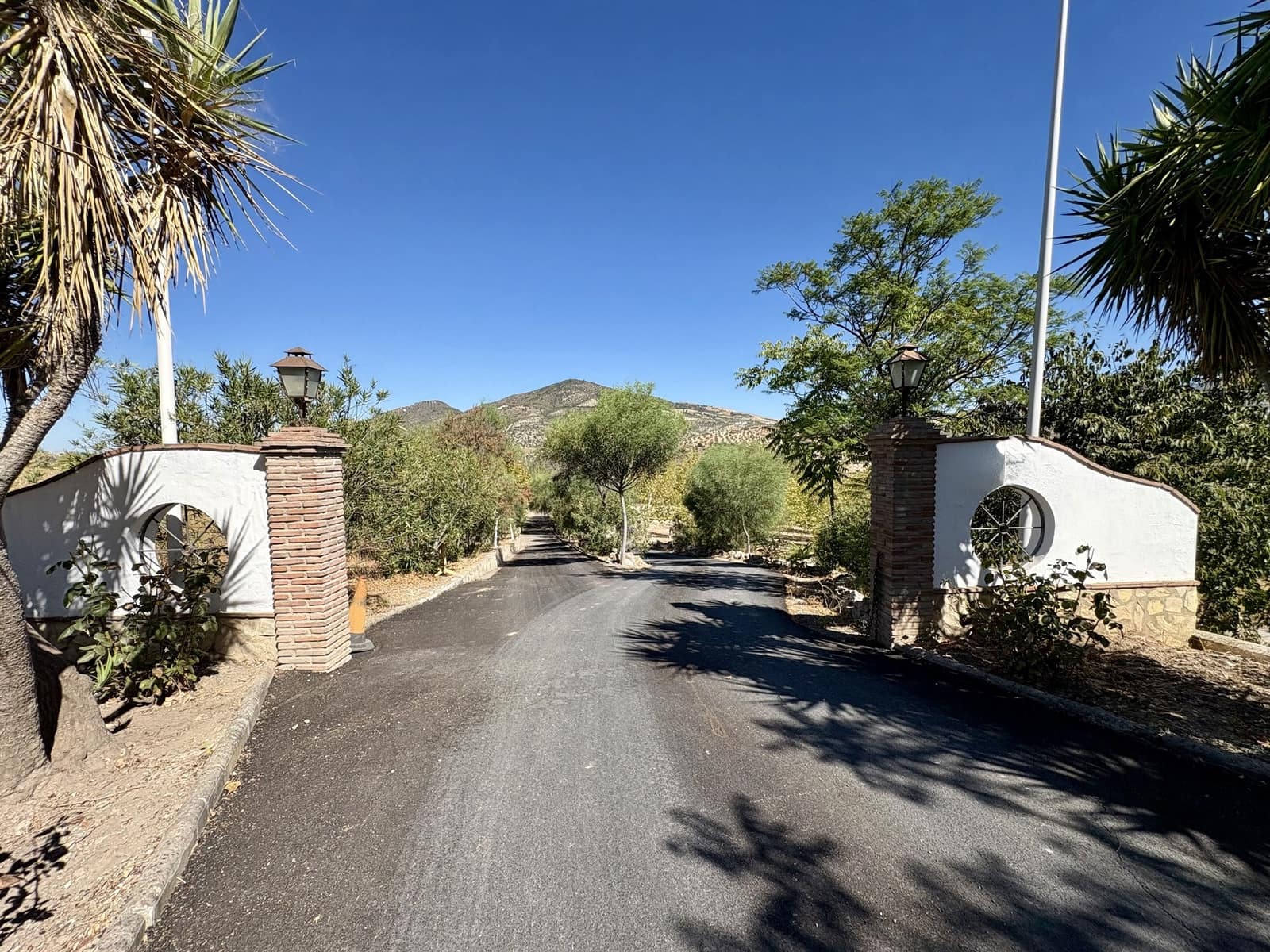 2 makuuhuone Yritys myytävänä paikassa Olvera mukana 
autotalli - 1 500 000 € (Ref: 9228873)