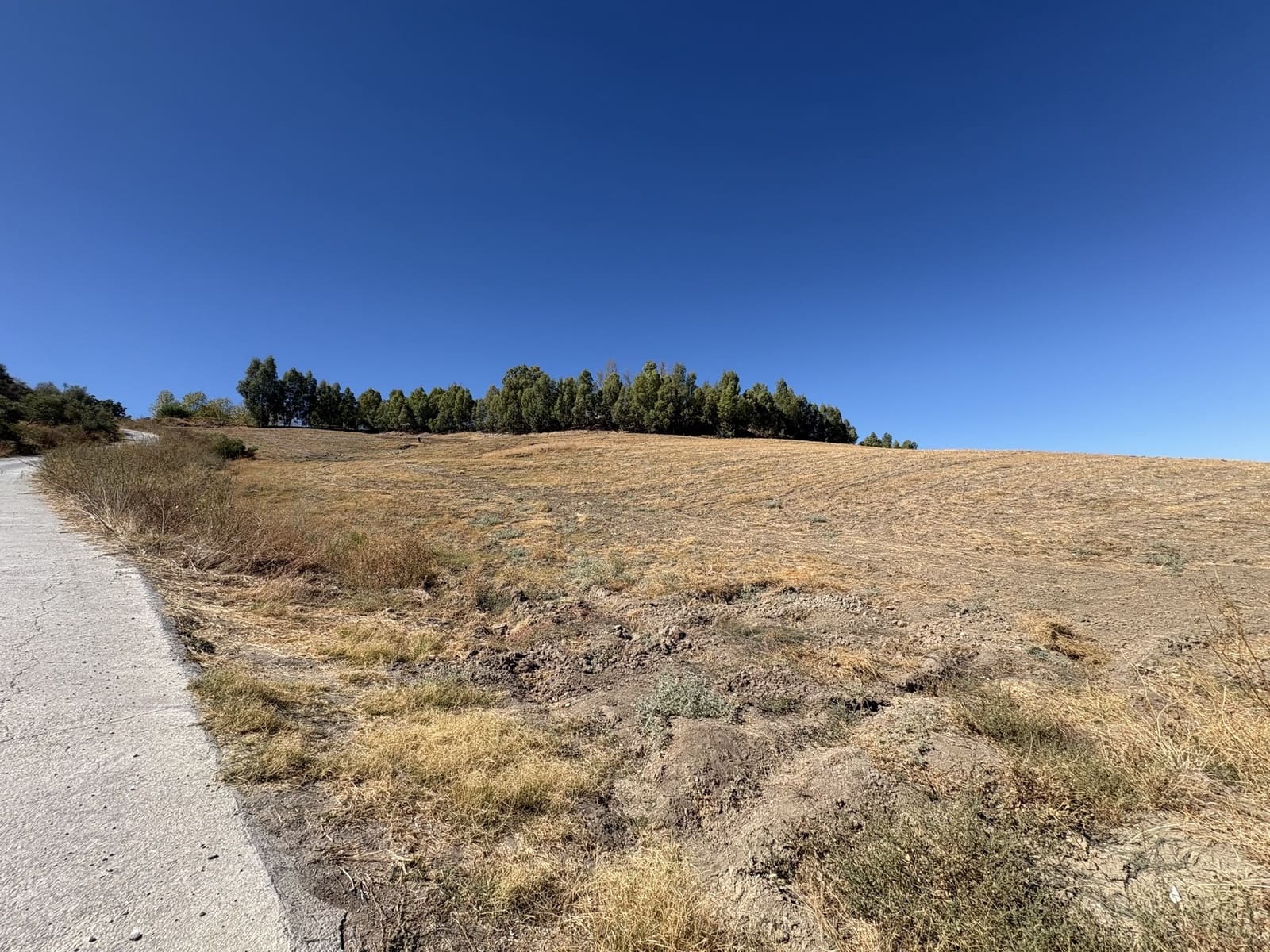 2 makuuhuone Yritys myytävänä paikassa Olvera mukana 
autotalli - 1 500 000 € (Ref: 9228873)