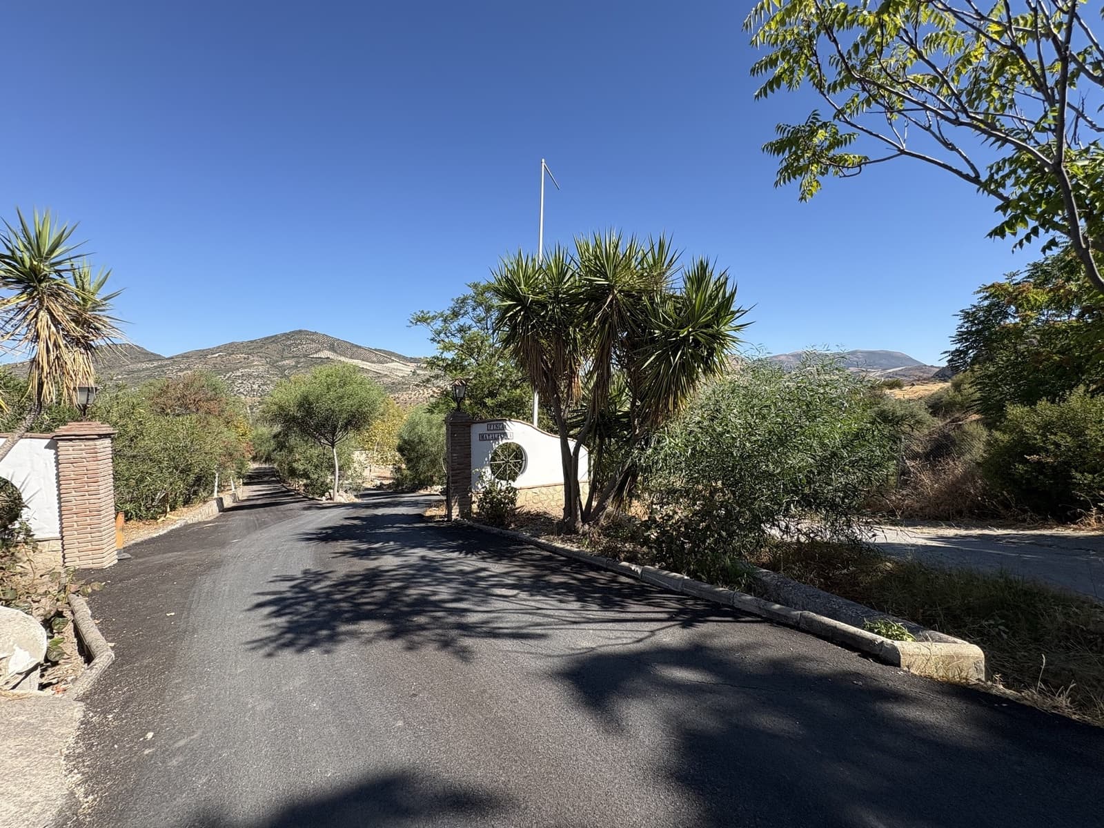 2 bedroom Business for sale in Olvera with garage - € 1,395,000 (Ref: 9228873)
