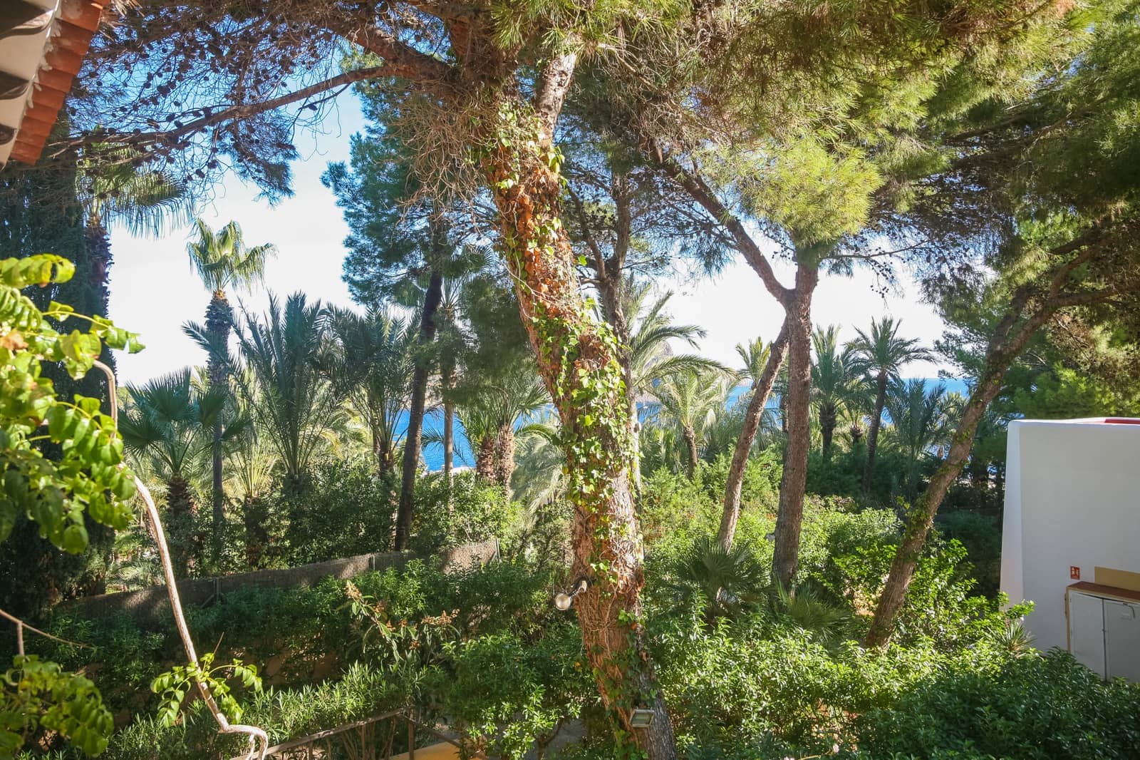 1 Zimmer Apartment zu verkaufen in Santa Eulalia / Santa Eularia - 345.000 € (Ref: 9382574)