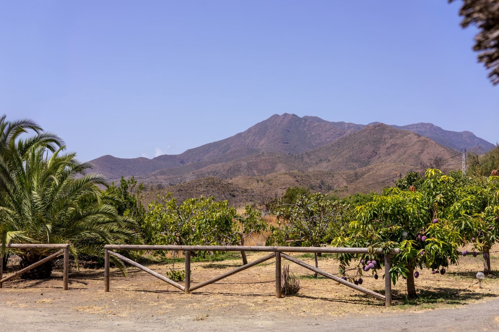 3 bedroom Villa for sale in Mijas with pool garage - € 1,450,000 (Ref: 9385430)