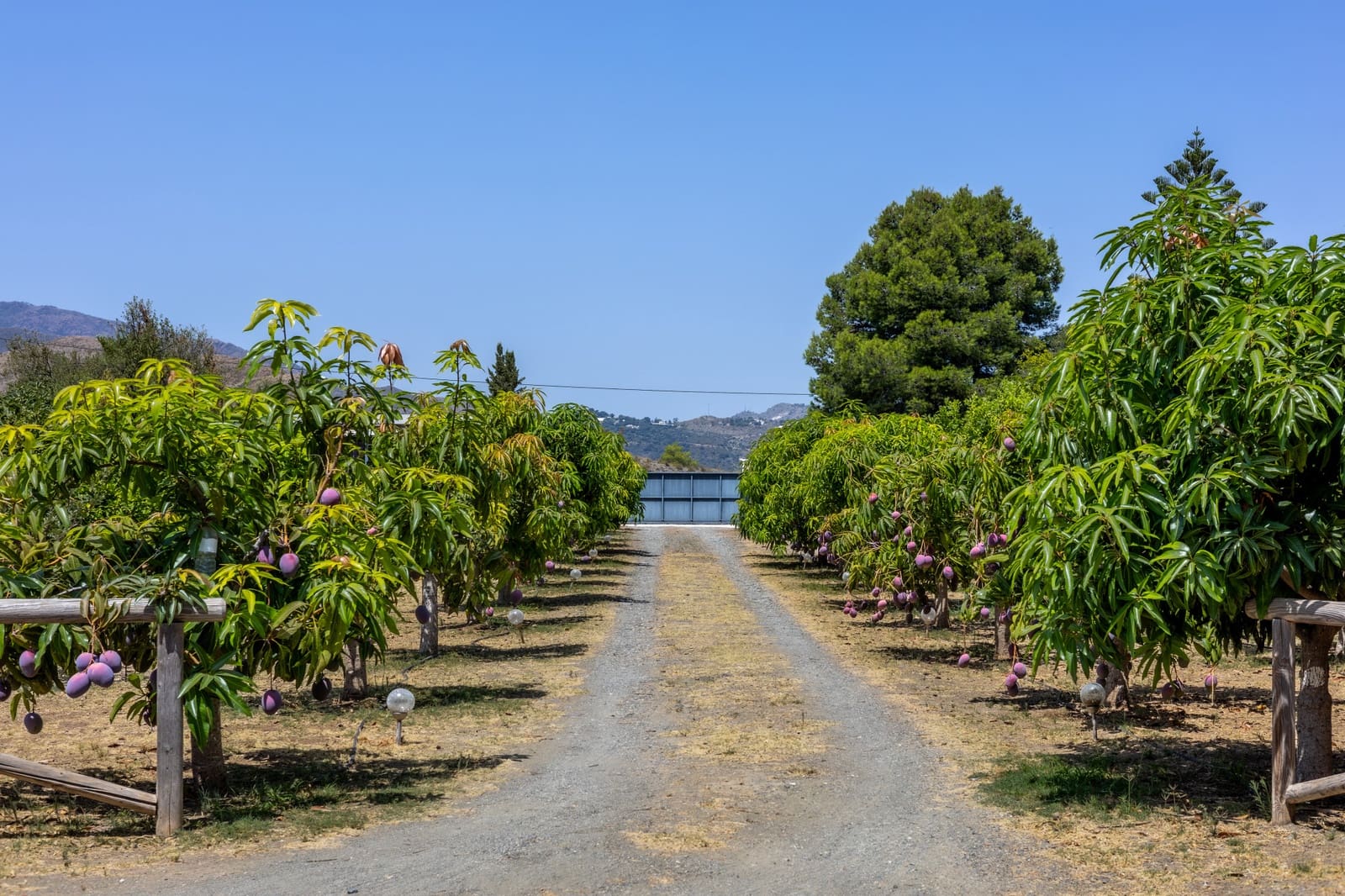 3 bedroom Villa for sale in Mijas with pool garage - € 1,450,000 (Ref: 9385430)