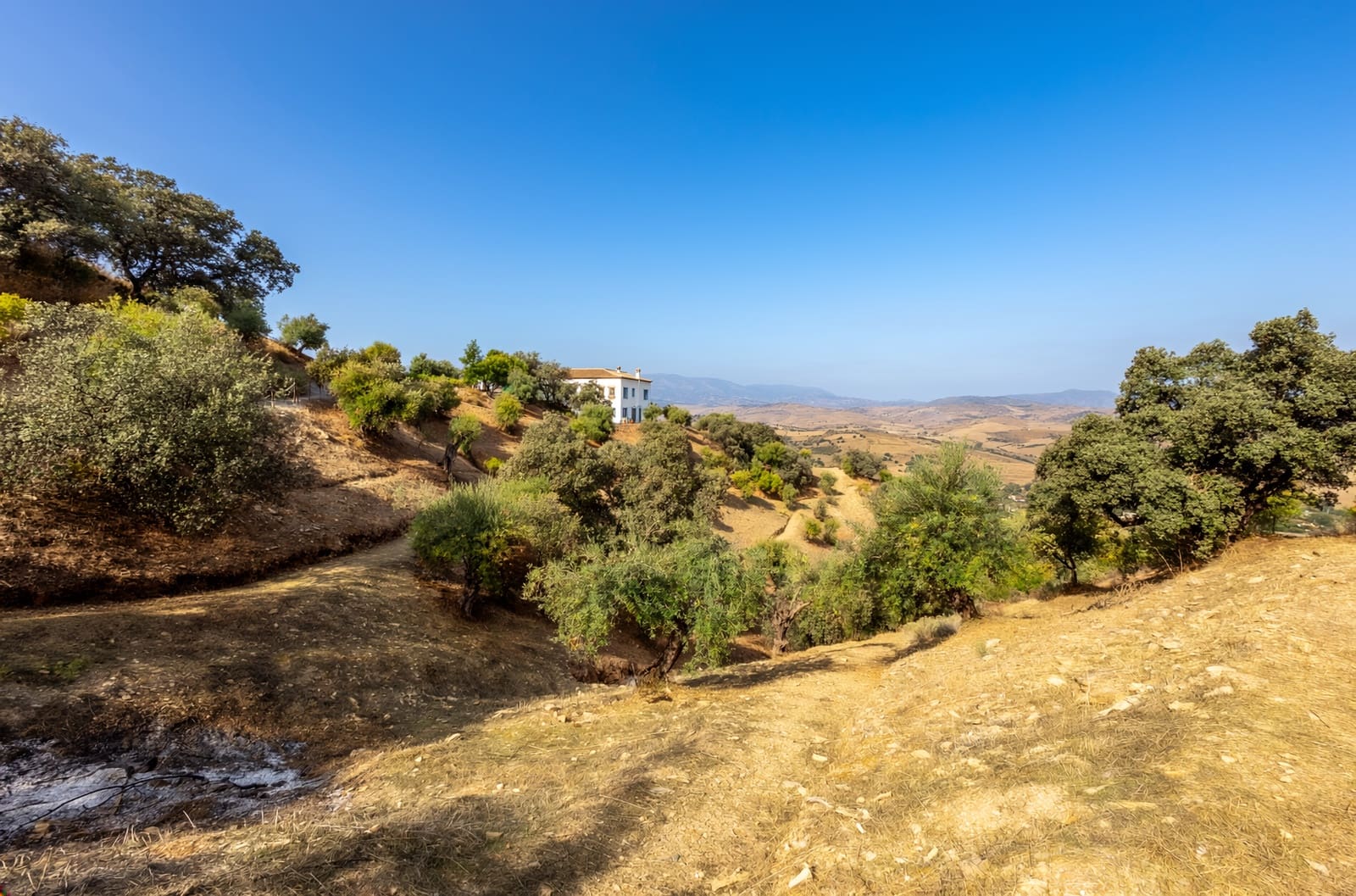 4 sypialnia Willa na sprzedaż w Coin z basenem garażem - 1 195 000 € (Ref: 9385431)